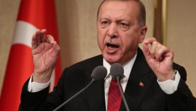 أردوغان يؤكد أن رد الناتو على الغزو الروسي لم يكن حاسما