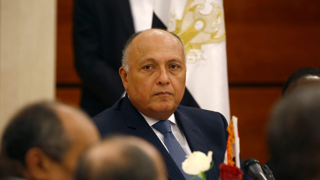 وزير الخارجية "سامح شكري" يستقبل أمين سر اللجنة المركزية لحركة "فتح"