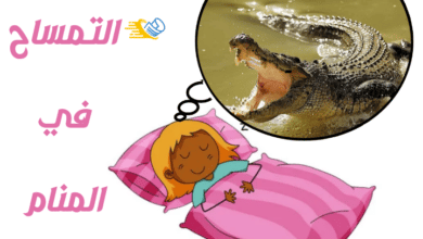 التمساح في الحلم