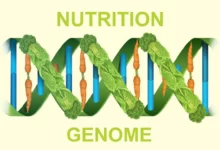 التغذية الجينية